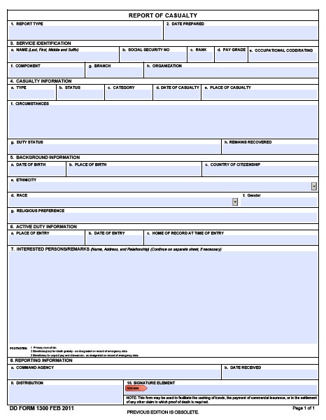 Download dd Form 1300