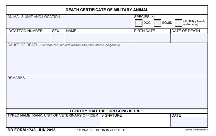 Download dd Form 1743