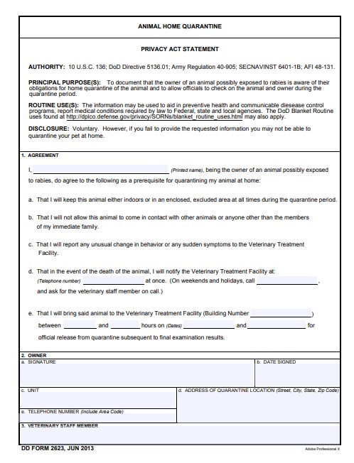 Download dd Form 2623