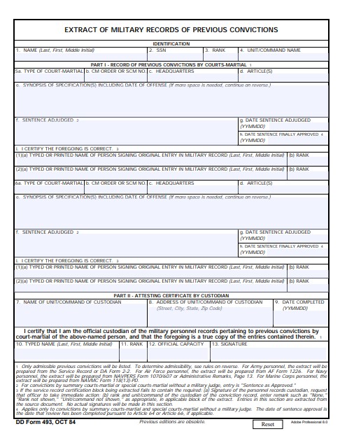 Download dd Form 493