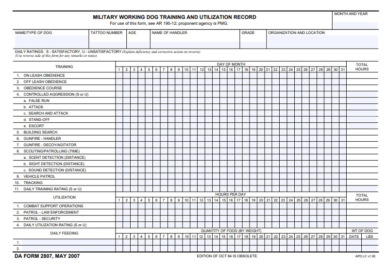 DA Form 2807 form preview