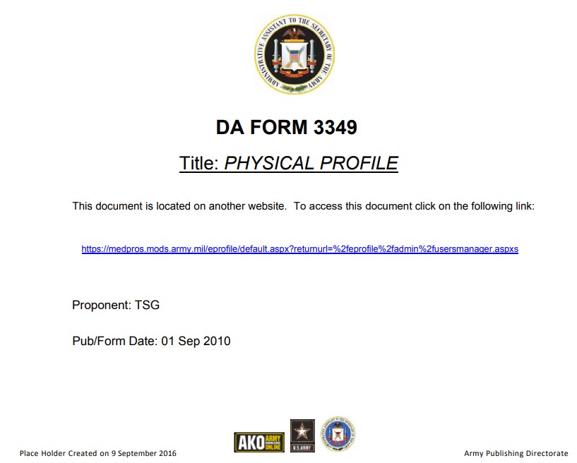 DA Form 3349 form preview
