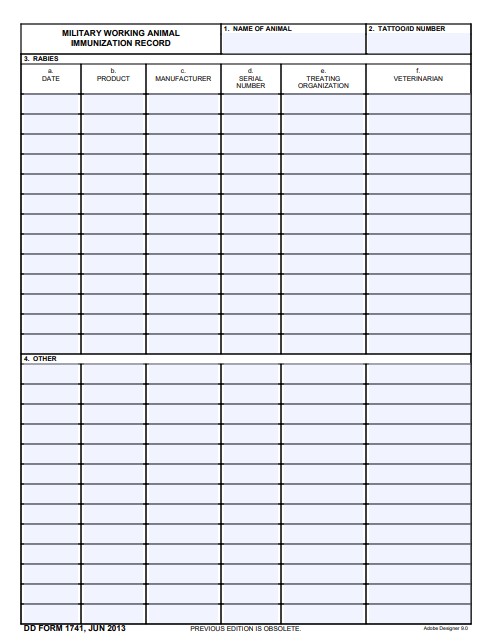 DD Form 1741 form preview