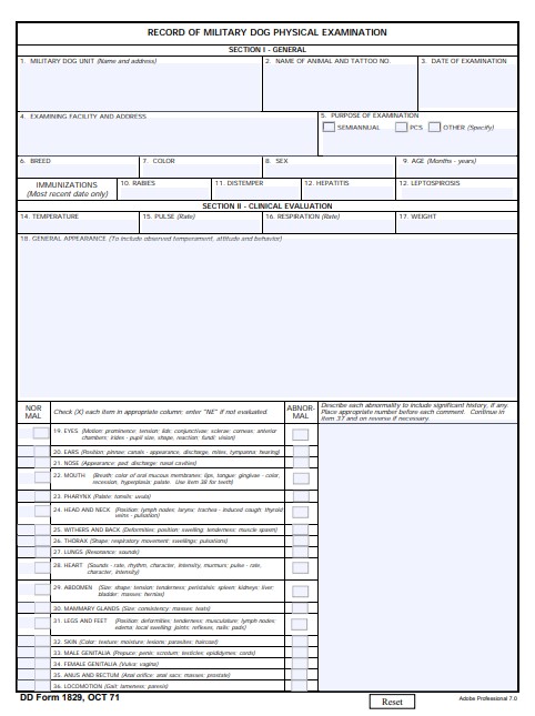 DD Form 1829 form preview