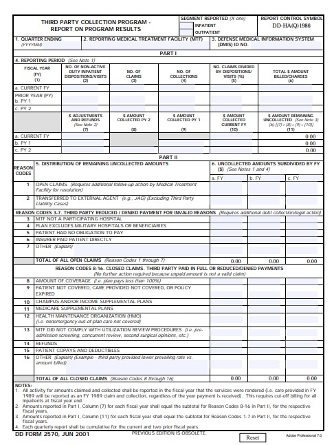DD Form 2570 form preview