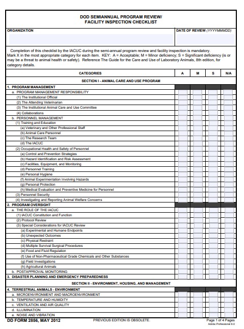 DD Form 2856 form preview