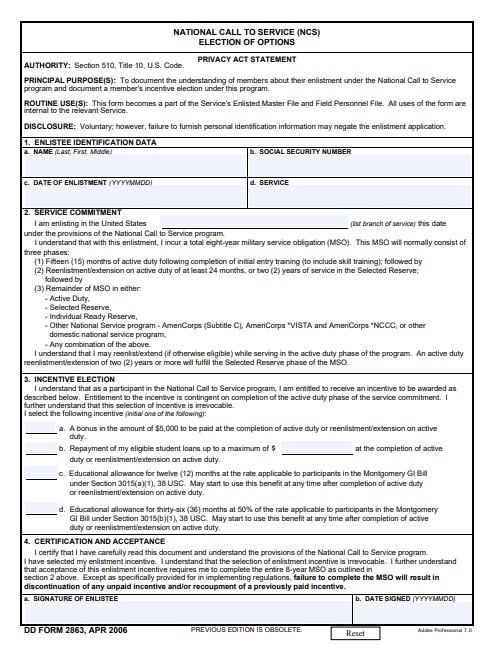 DD Form 2863 form preview