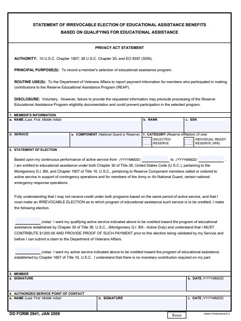 DD Form 2941 form preview