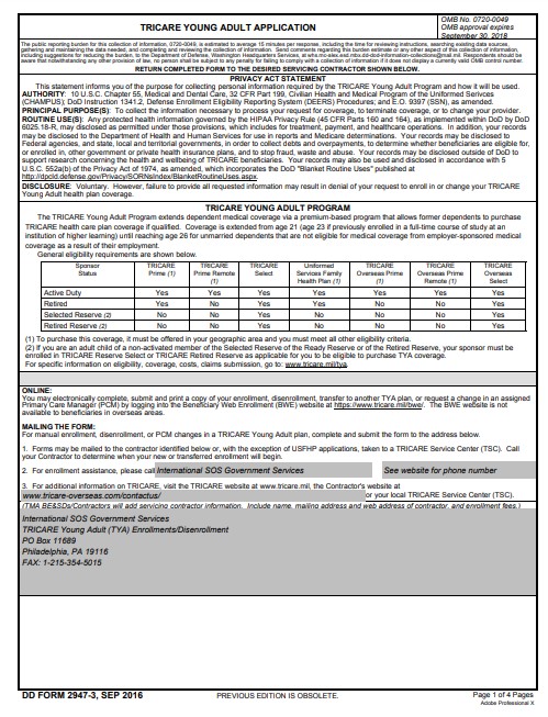 DD Form 2947-3 form preview