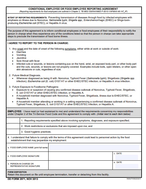 DD Form 2971 form preview