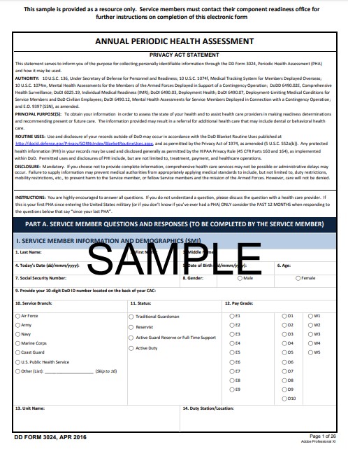 DD Form 3024 form preview