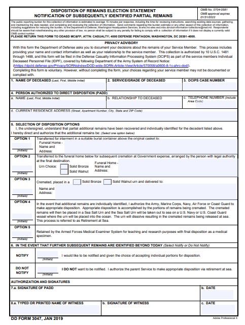 DD Form 3047 form preview