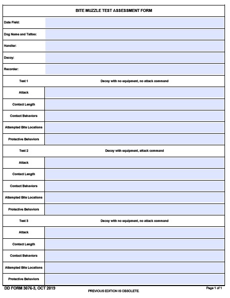 DD Form 3076-3 form preview
